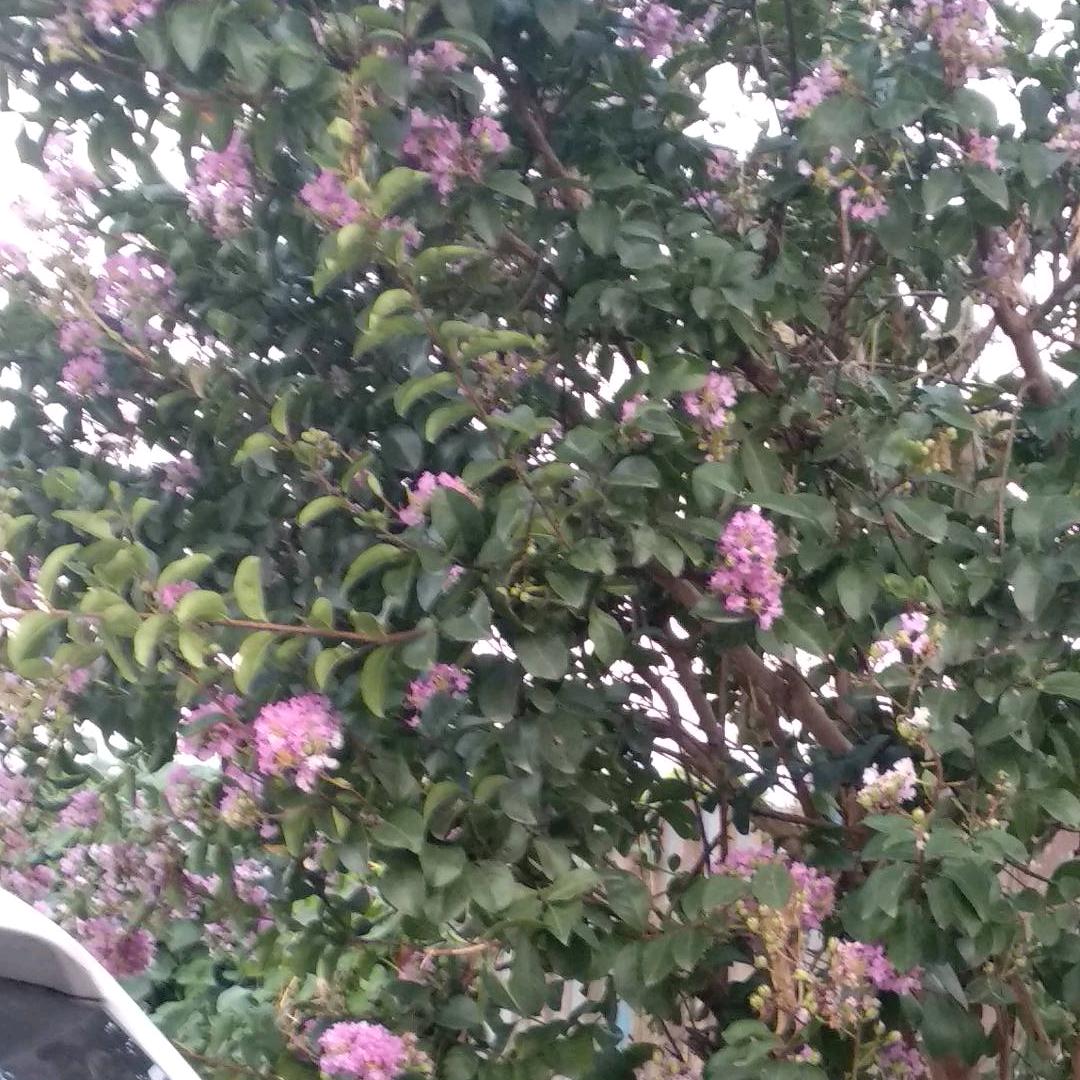 天天开心啊