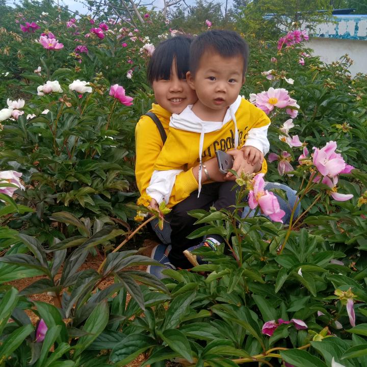 迷茫的你（我）