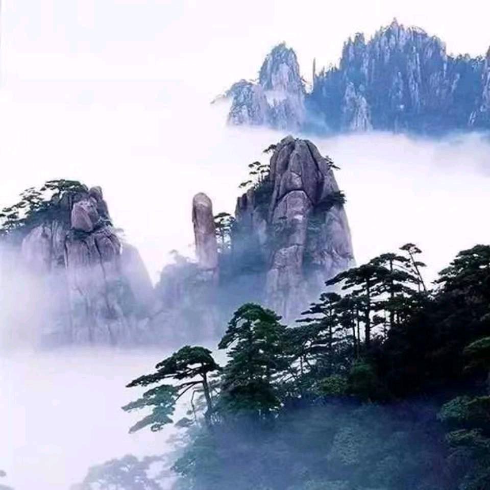 午夜心动    8216