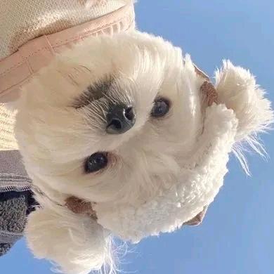 数码新生无人机实体店
