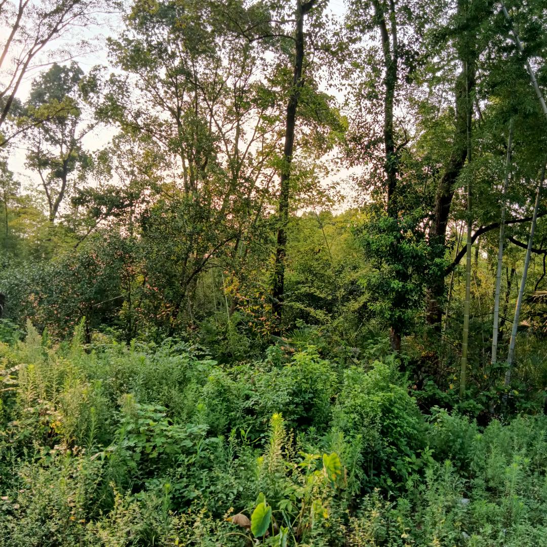 一米阳光