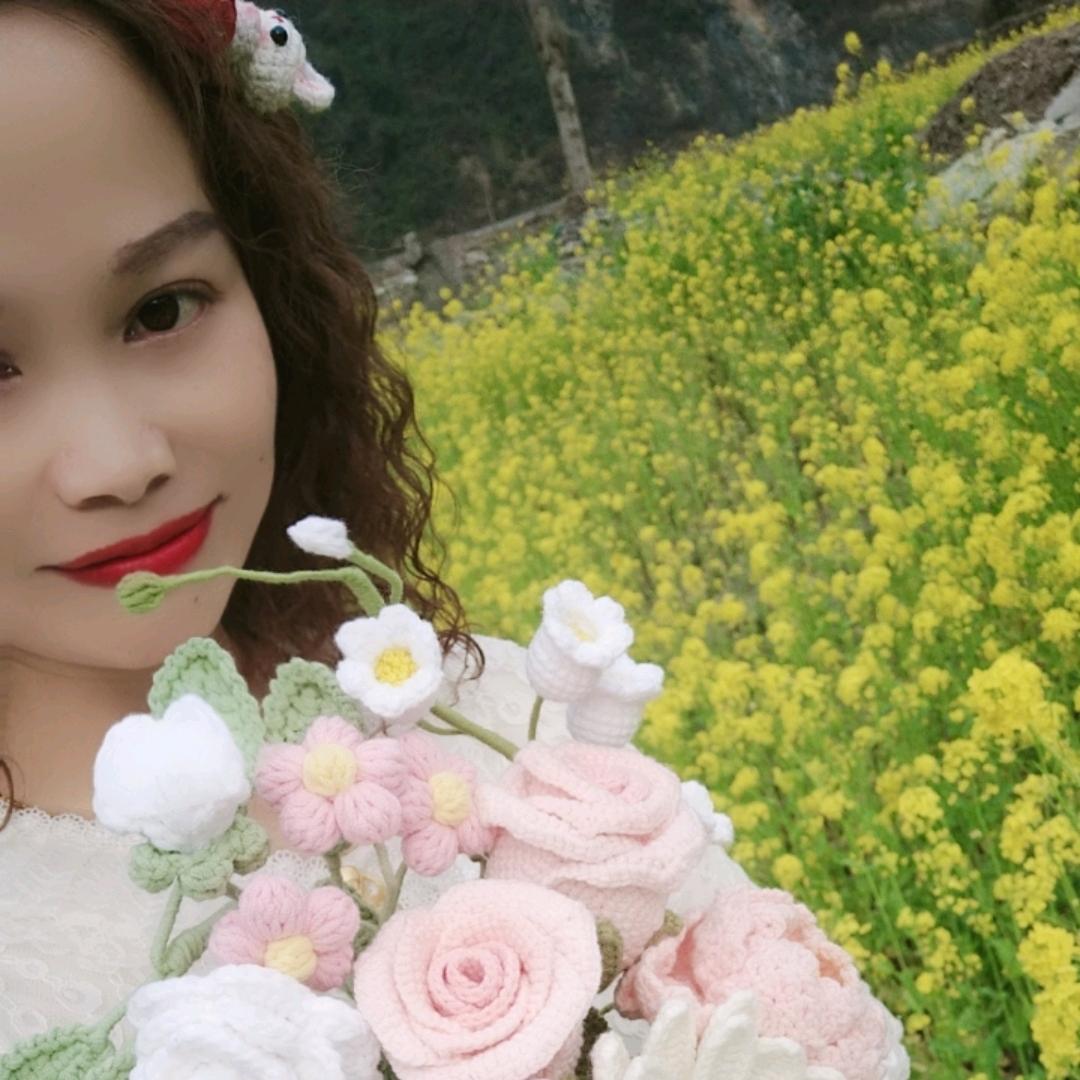 小女子玩个毛线（木子）