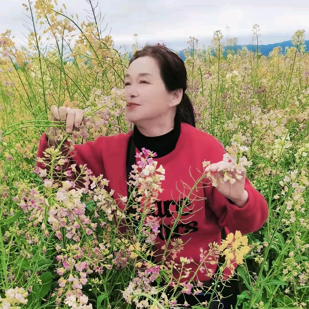 🌺秋秋🌺