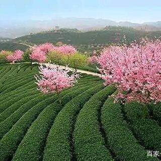 ☞，别人$曾经ネу