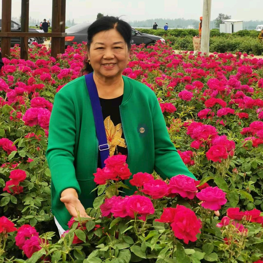 刘成英（关赞👍必回）