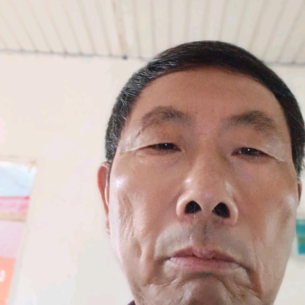 肥西县上派镇付康苗圃