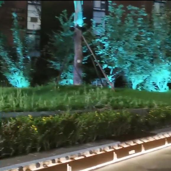 爆干火鸡面