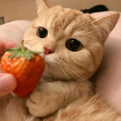 你说啥，听不见