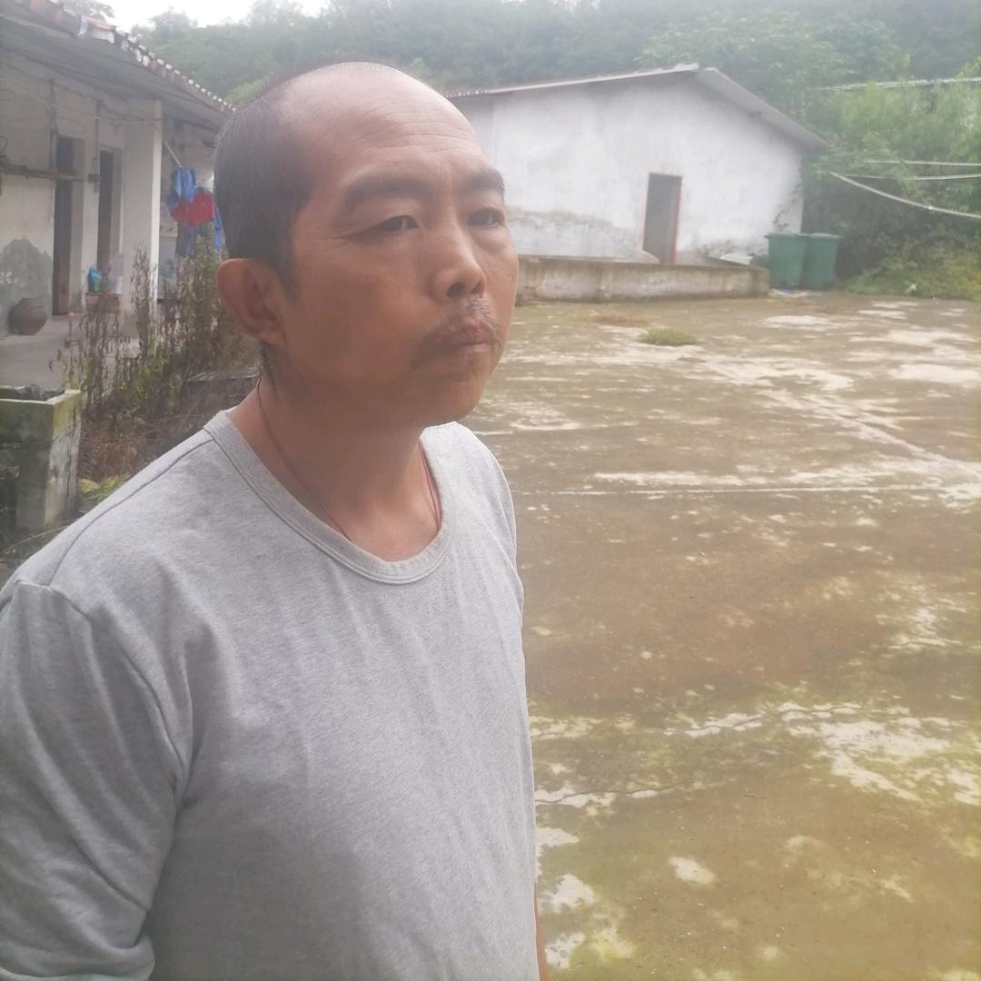 治同