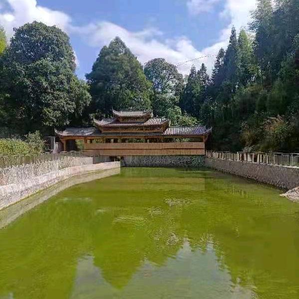 浙闽思念