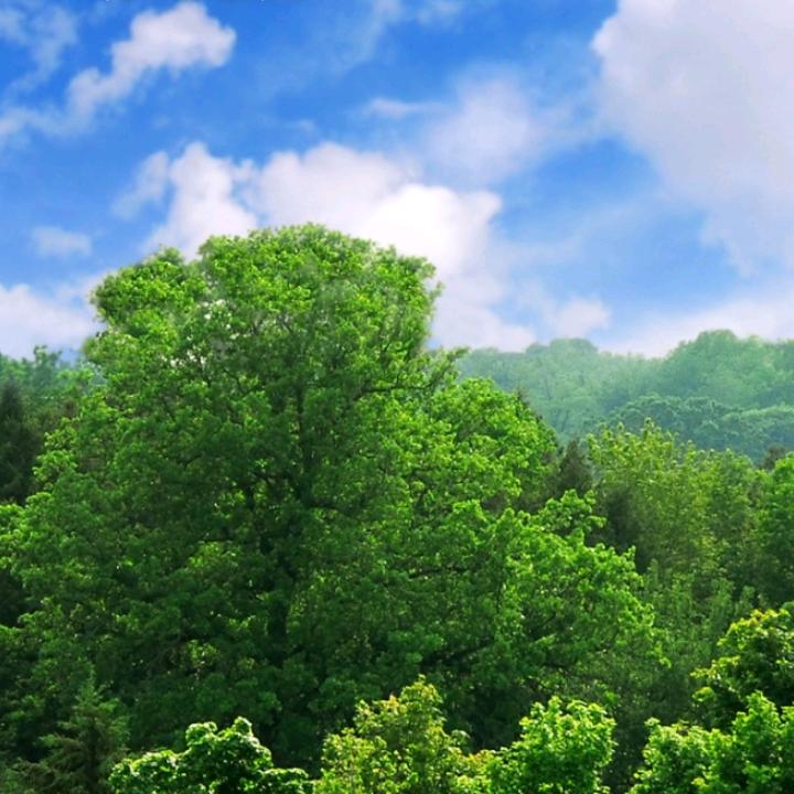 手机用户73881093450