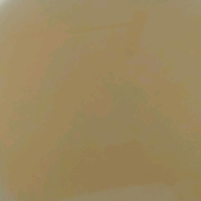 熟悉的陌生人