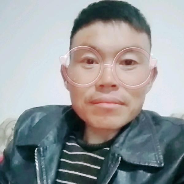 杨总