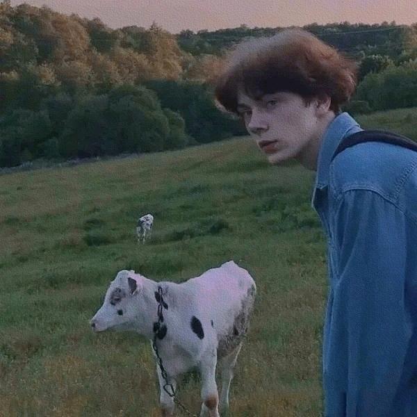 丹尼er（🕹️打电动ing）