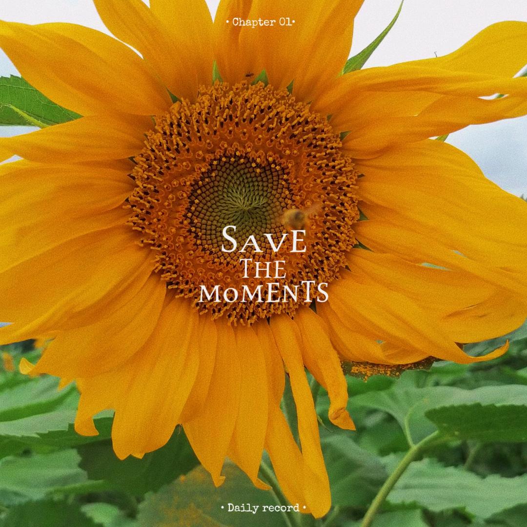 ♡♥(。´▽`。)♥♡