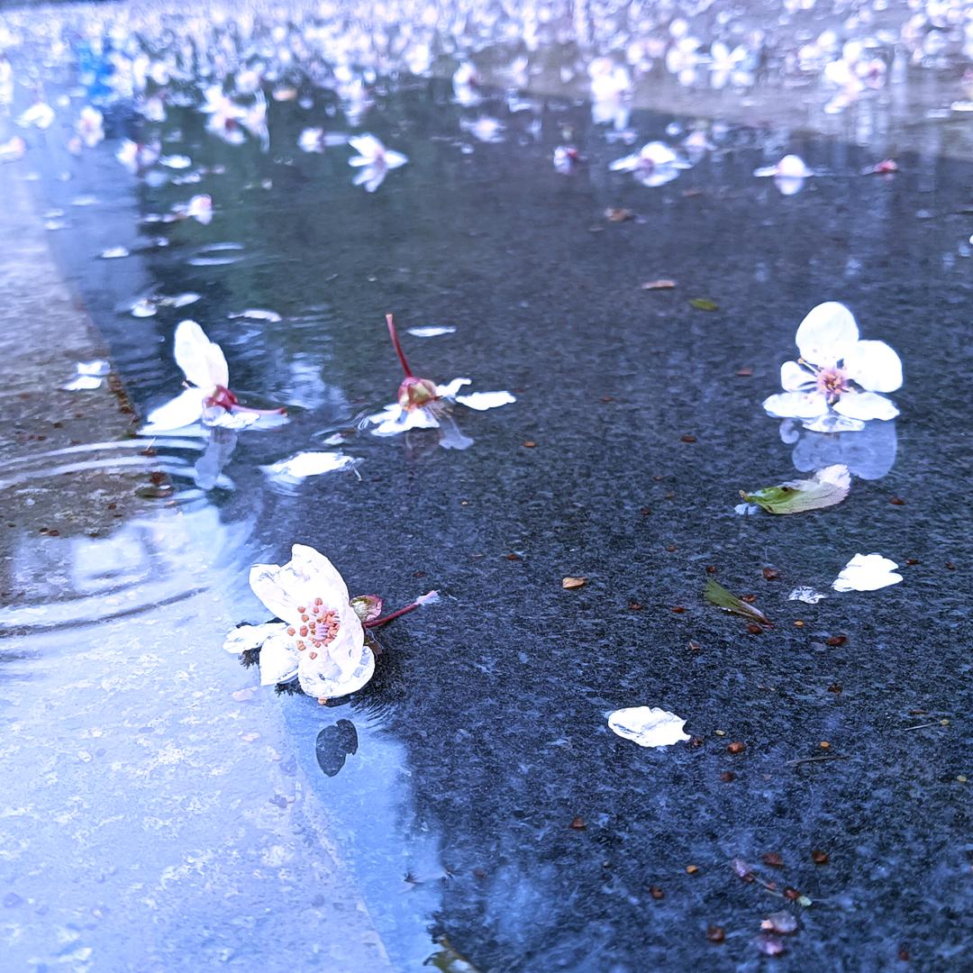 ．．三
