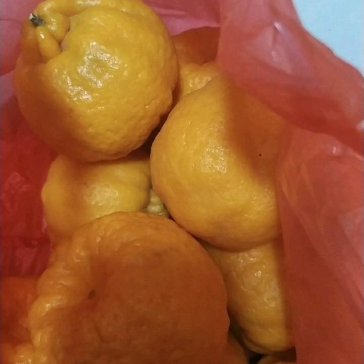爱吃菠菜面包的乐凡头像