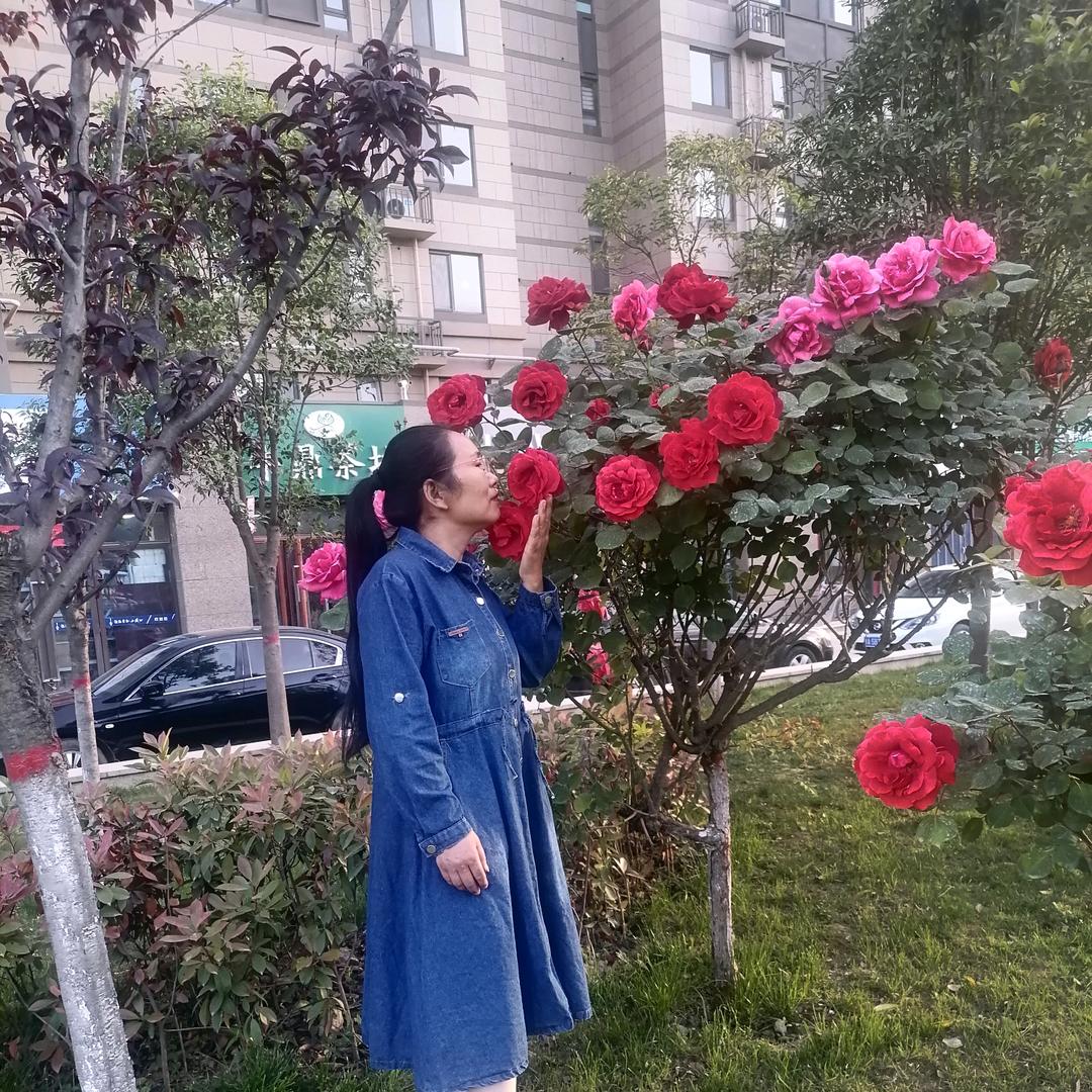 梦中人（大米）