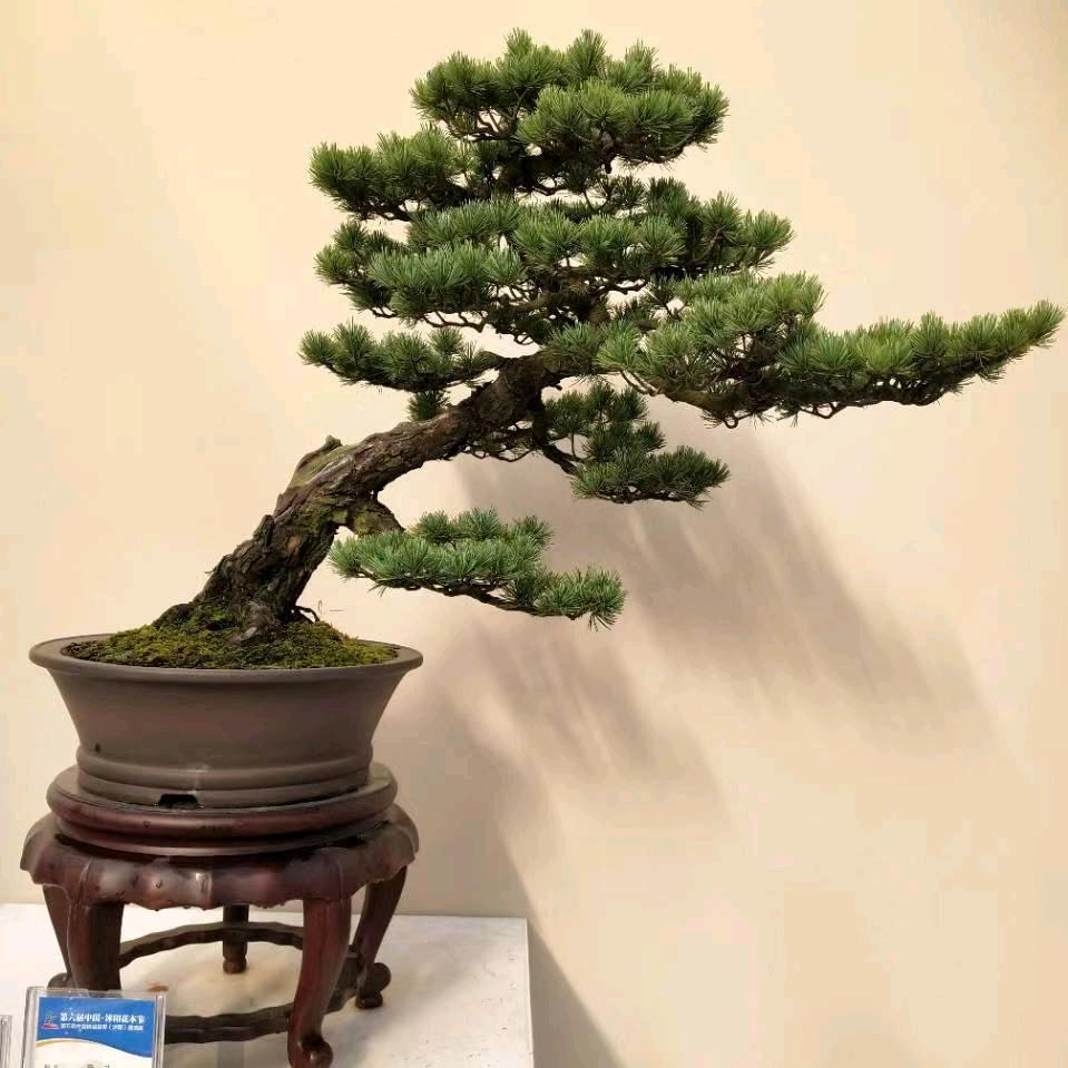 绿景园879