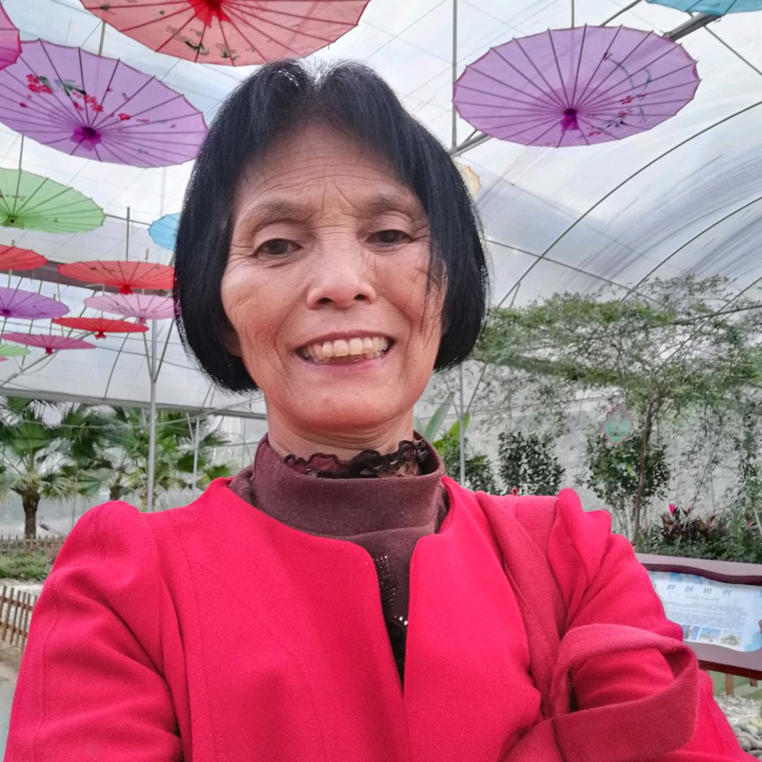 刘姨