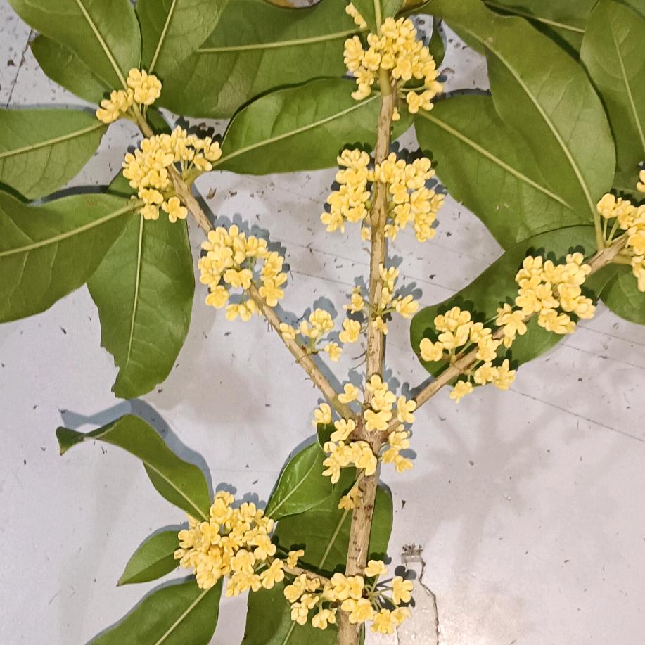 你随意