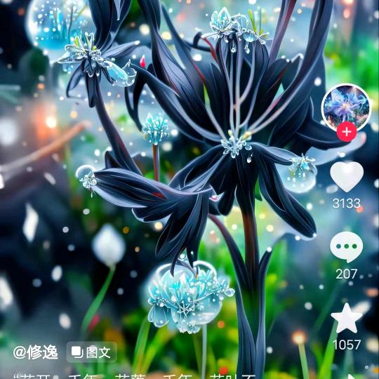 🌸花开🌼富贵🌺