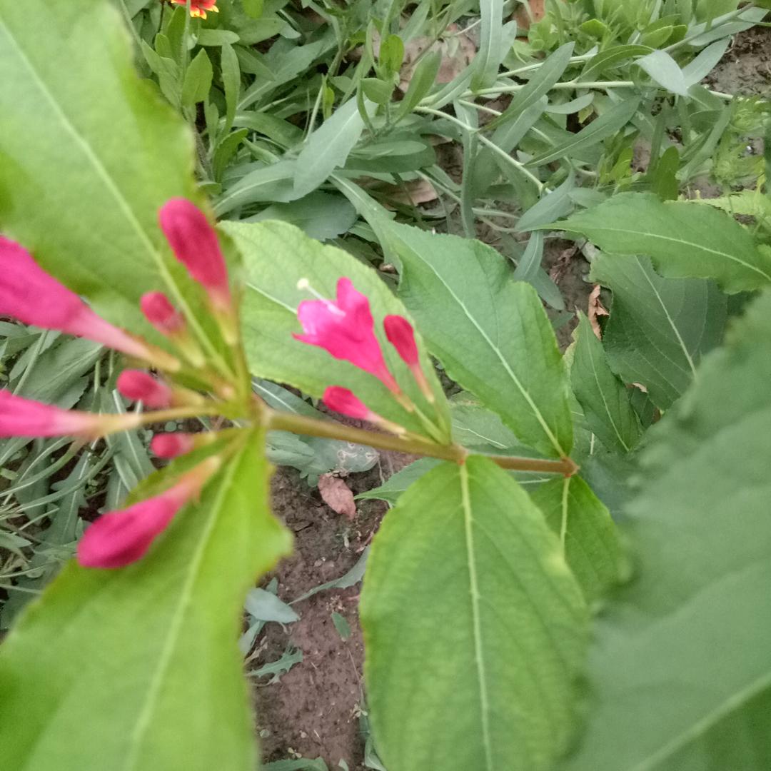 岁月静好💋💋💋