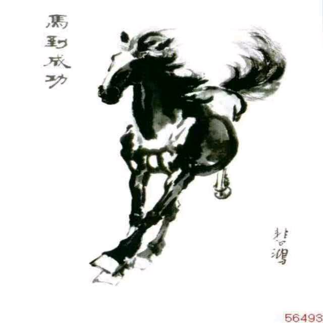 老马同志