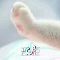 馒头