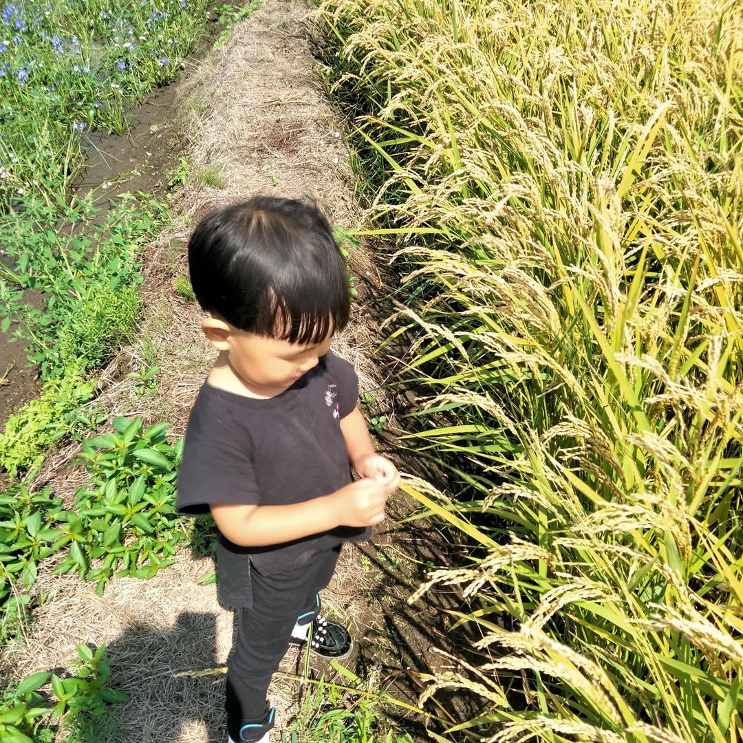 用户3347590726995依依奶奶