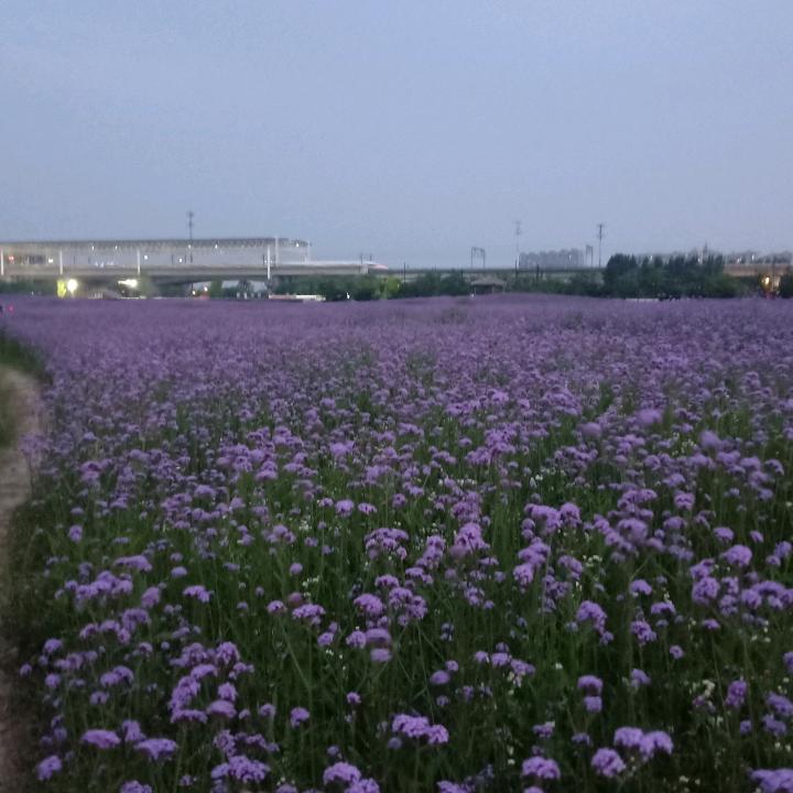 马上来钱