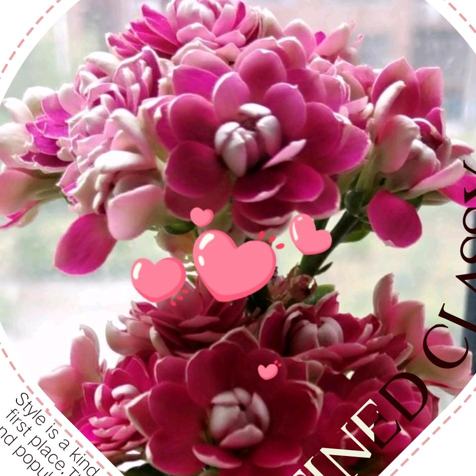 ꧔ꦿ℘一路💞᭄᪲ᩚ꯭ᩚ有你꧔ꦿ᭄