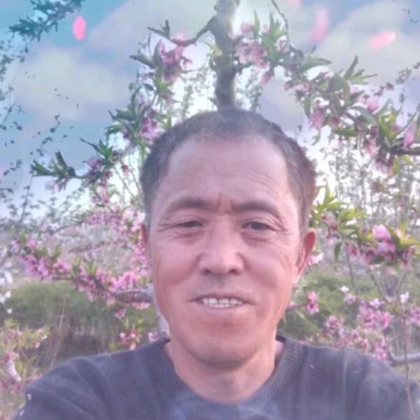 柴新学，各种果树修剪，四季管理，基地指导