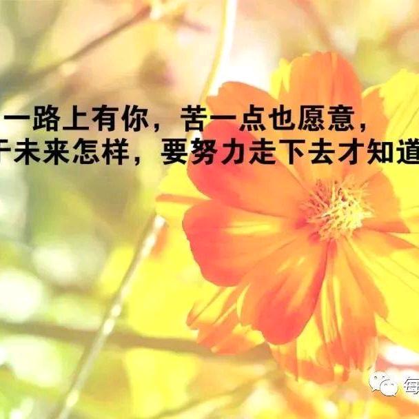 易康来足疗按摩鞋全国招代理