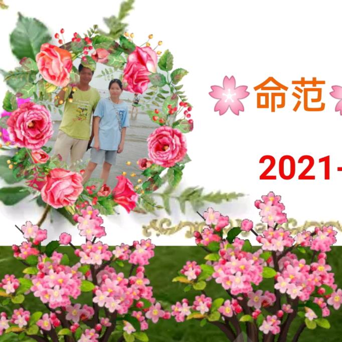 🌸命范🌸桃花🌸
