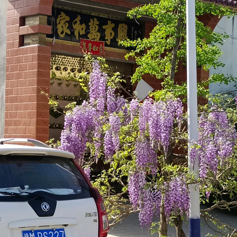 钢蹦爷爷