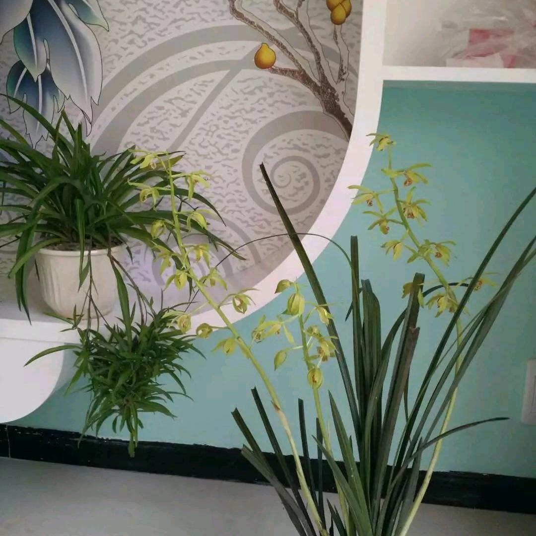 夏日秋风