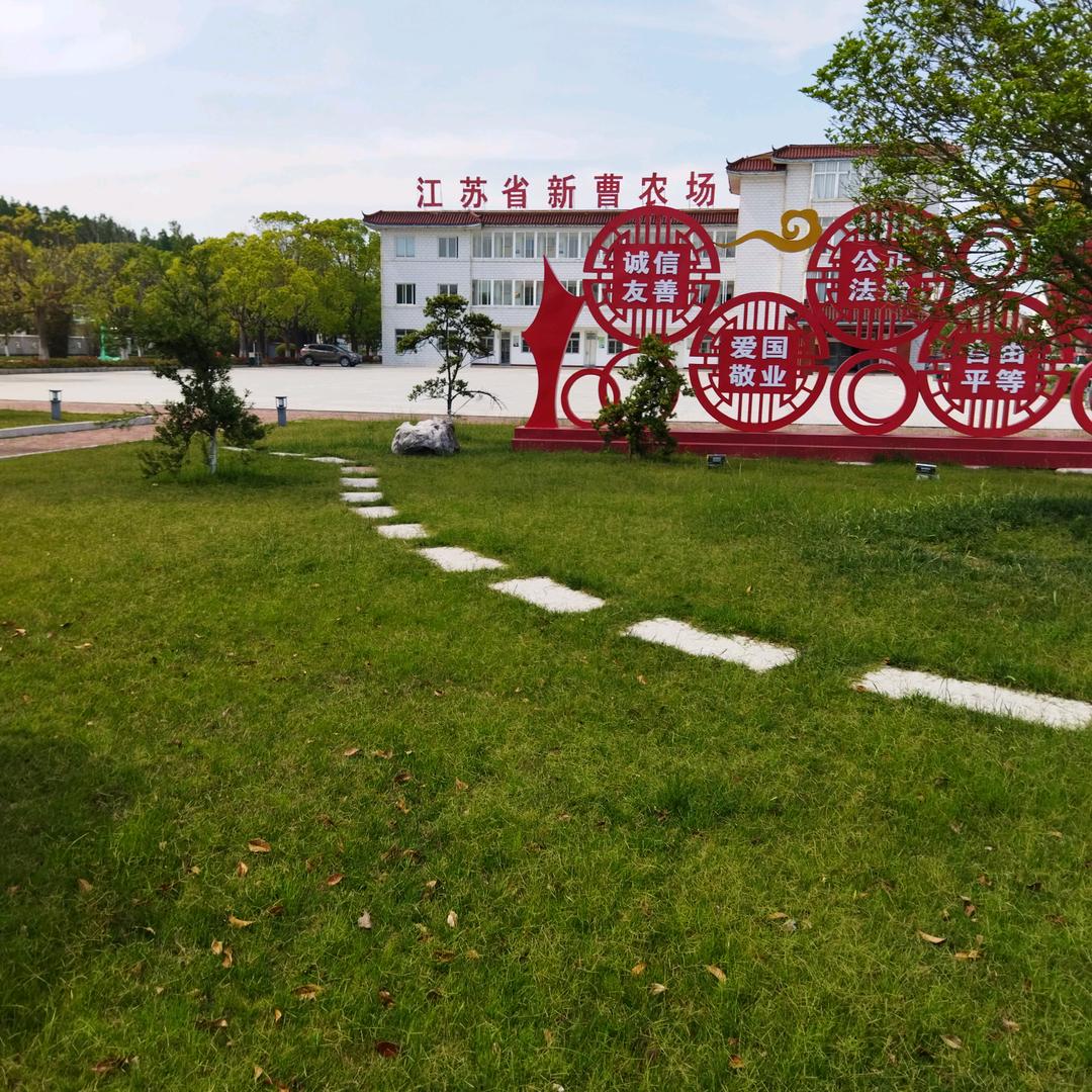 陈国敏