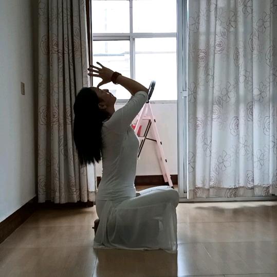 樊樊