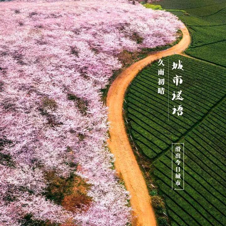 风景3