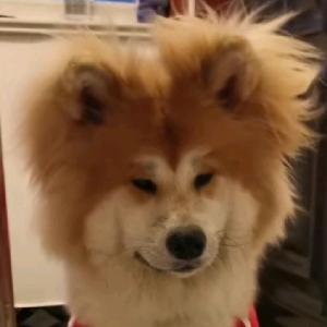 爬楼小剧场
