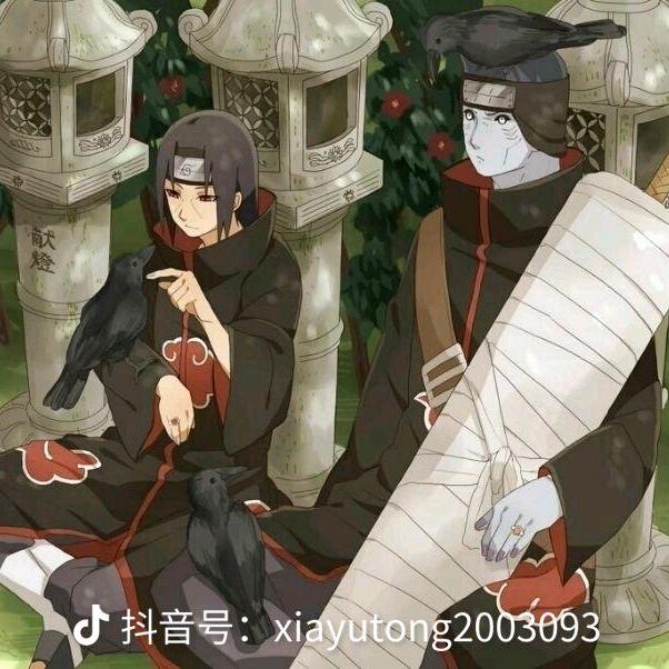 ✨白熊✨