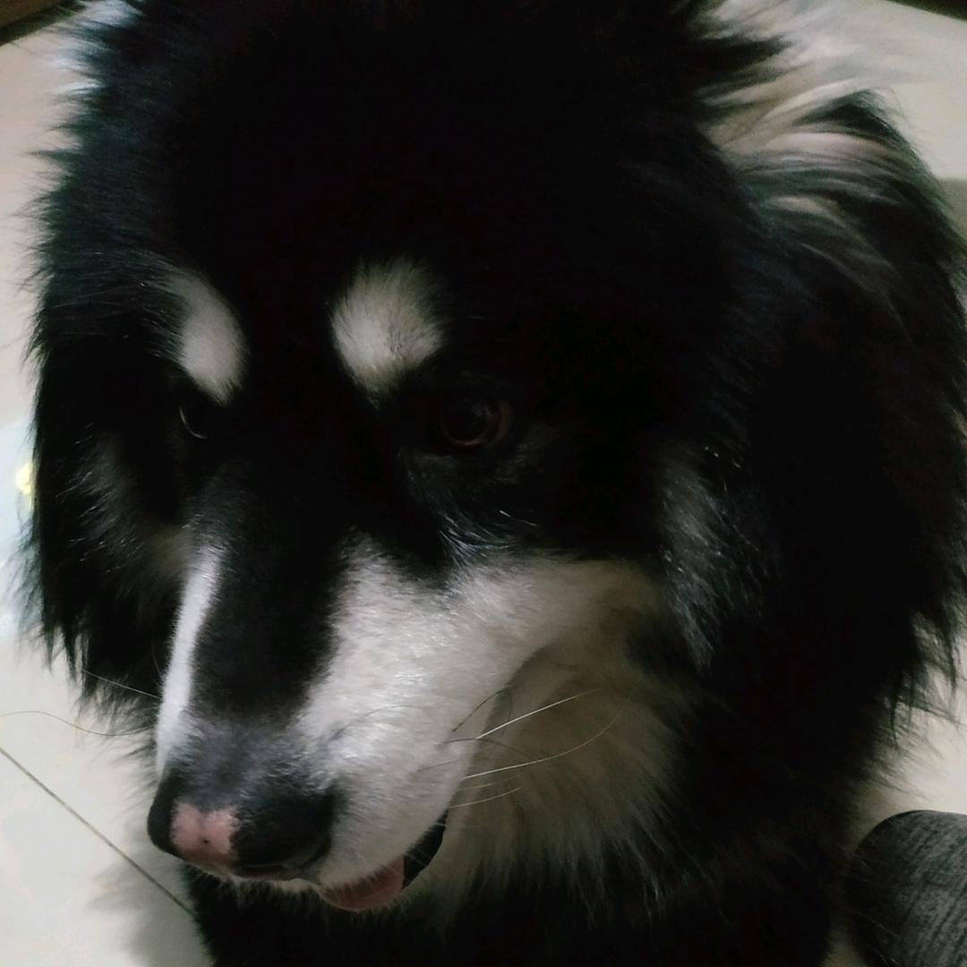 Jason的自由世界