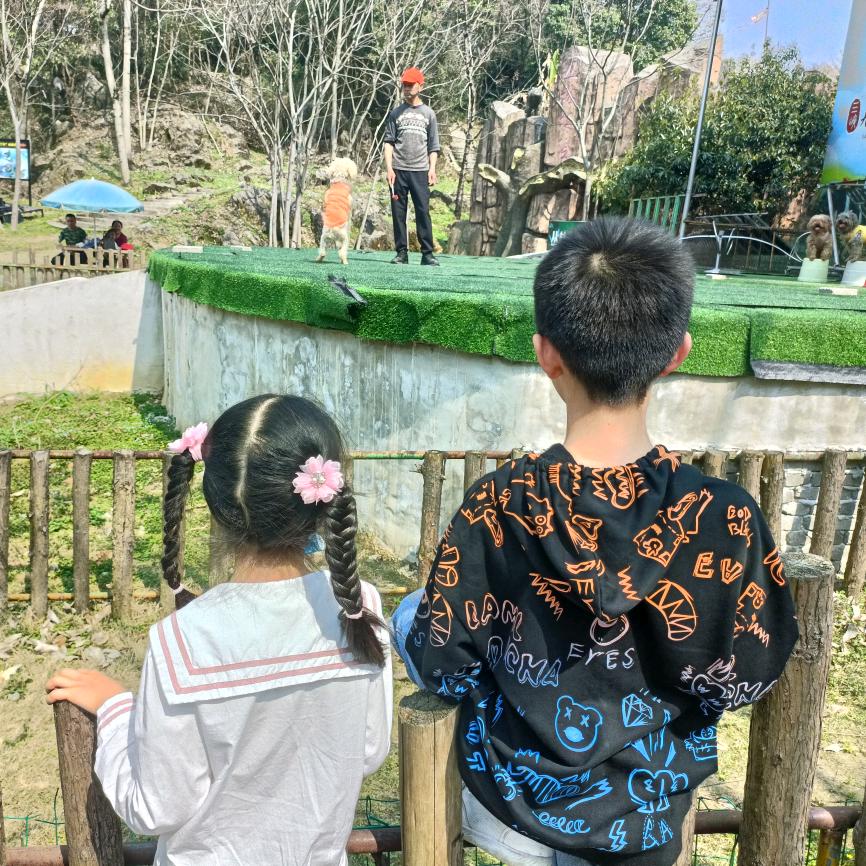 不~空军