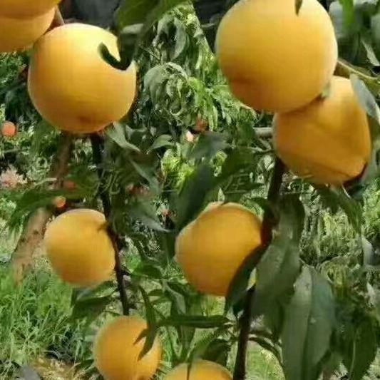 缘分