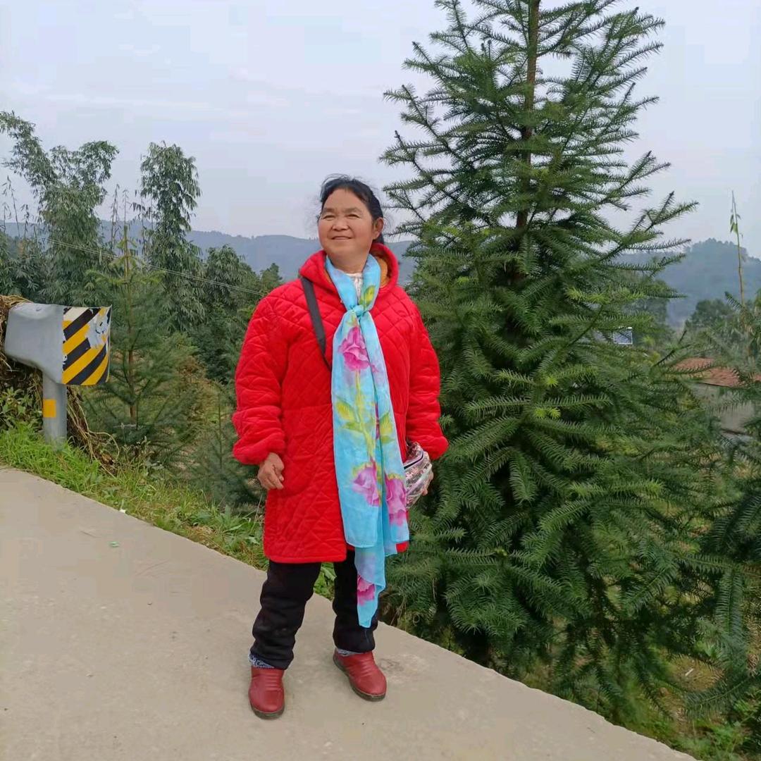 杨二姐