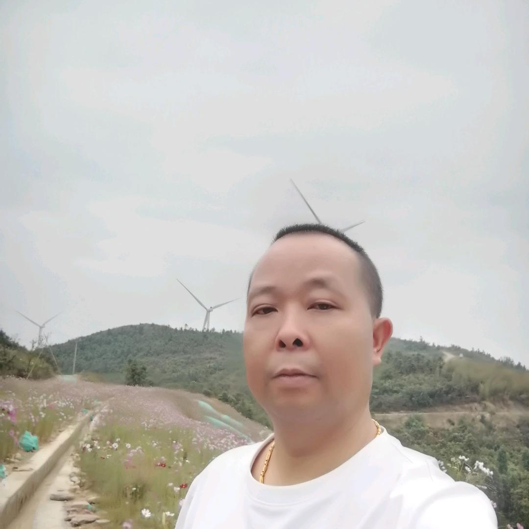 今世缘。