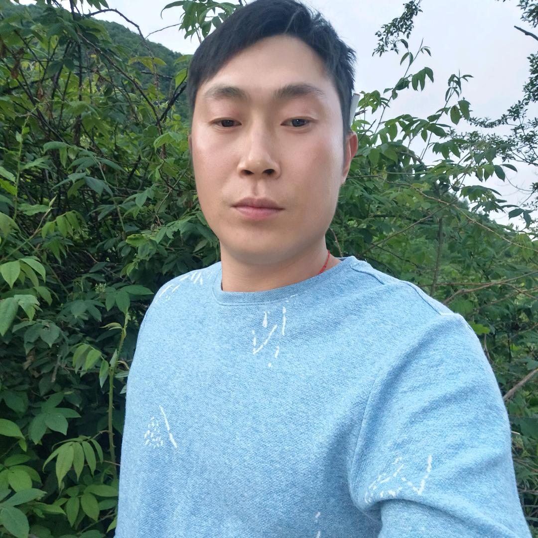 飞翔的秋秋
