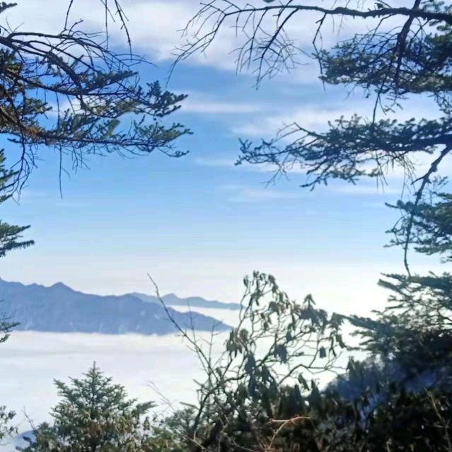 成都西福变速箱专业维修