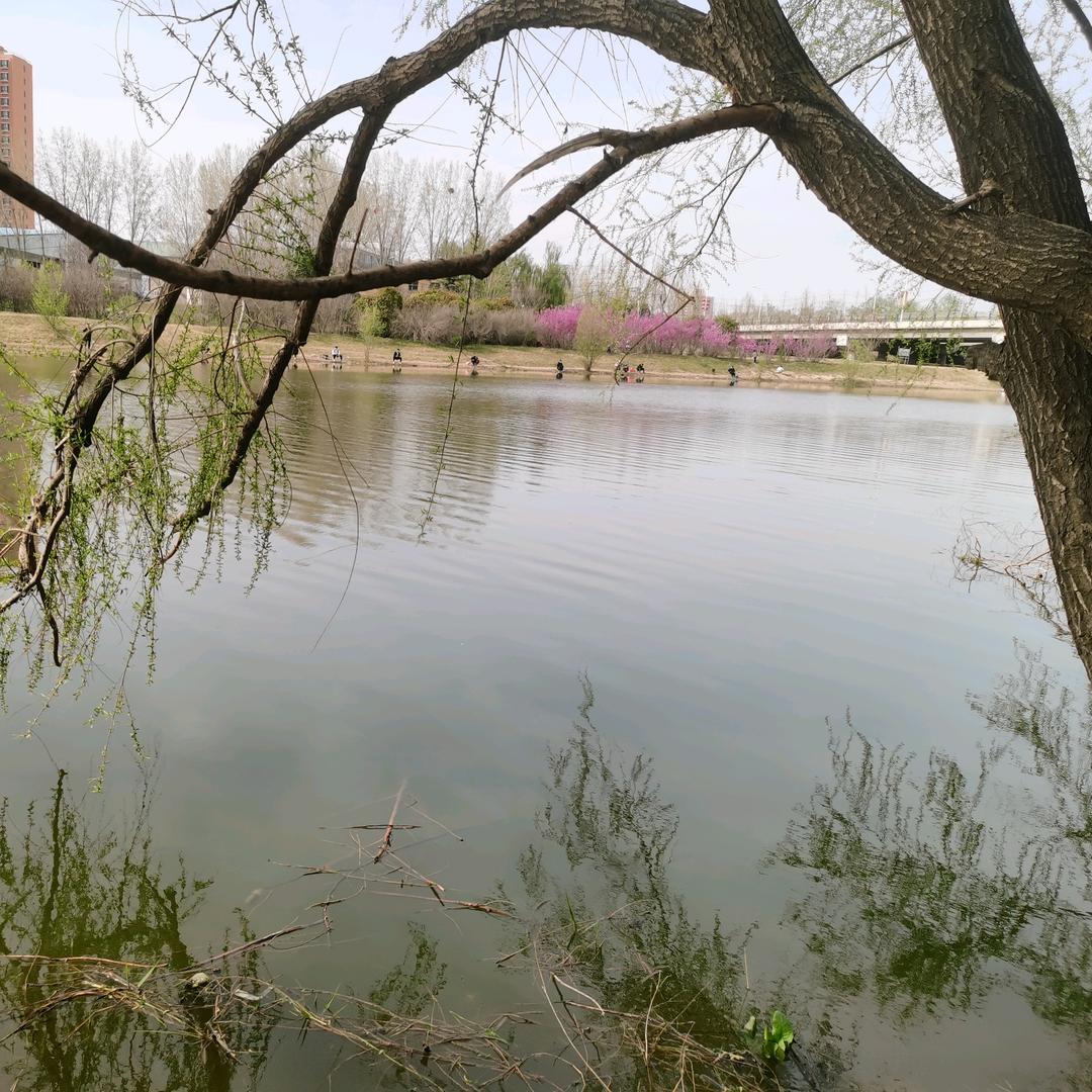 🌈🌈钓不到🌈🌈